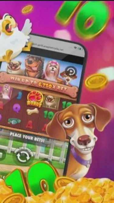 Crazy Time Korea Screenshot